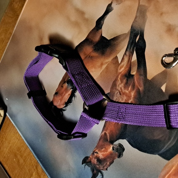 Adjustable safety seat belt/ BUNDLE ONLY 2or more items - Picture 2 of 4